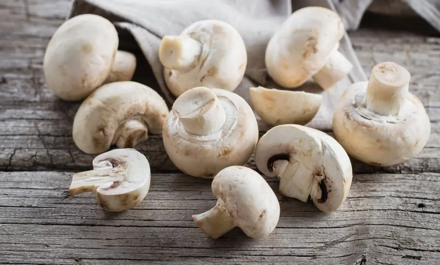 Come coltivare i funghi nella propria casa