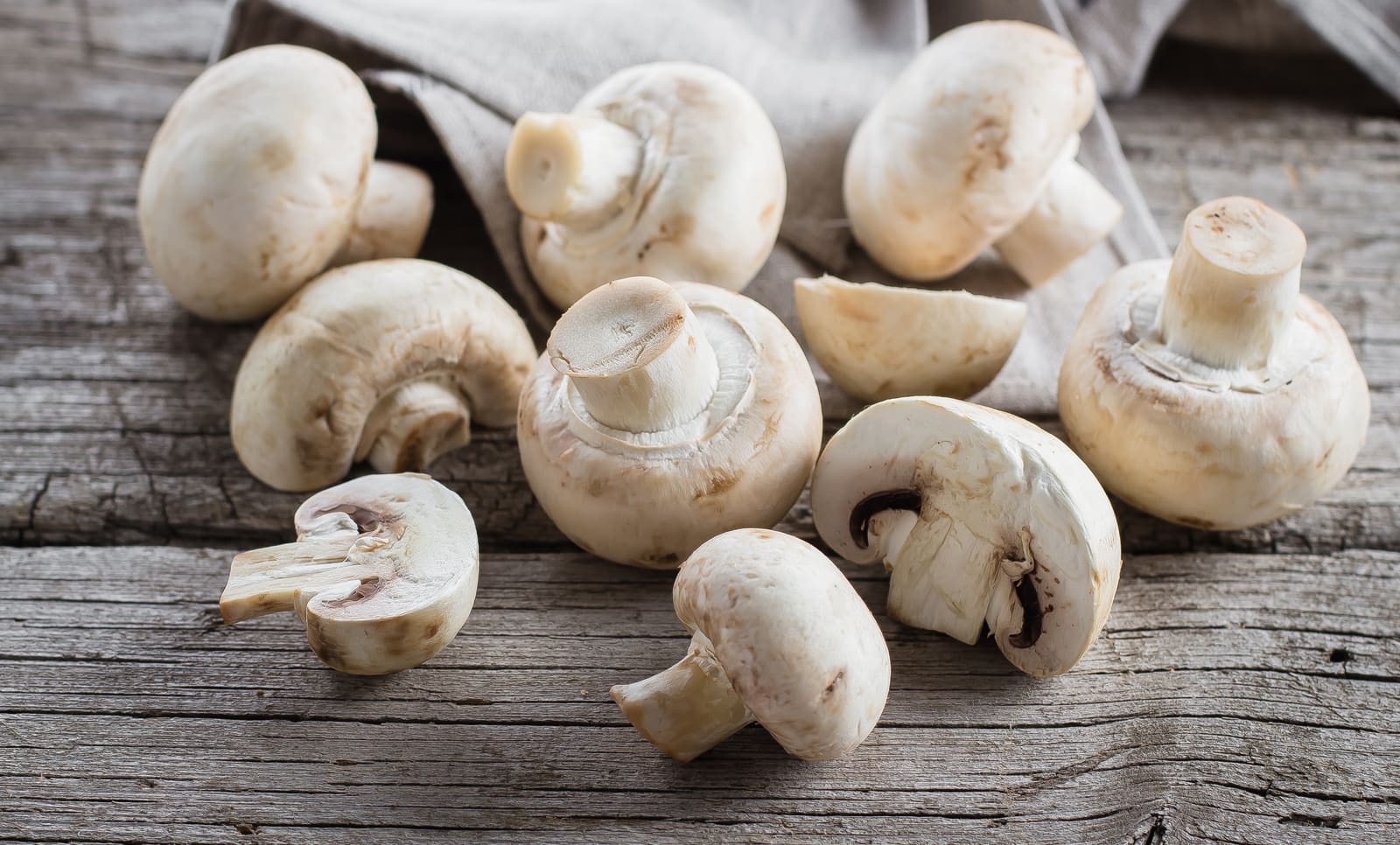 Come coltivare i funghi nella propria casa